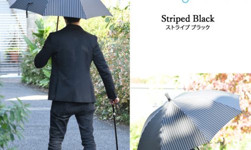 ステッキインアンブレラ