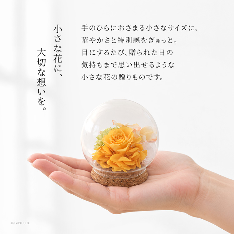 詳細画像10
