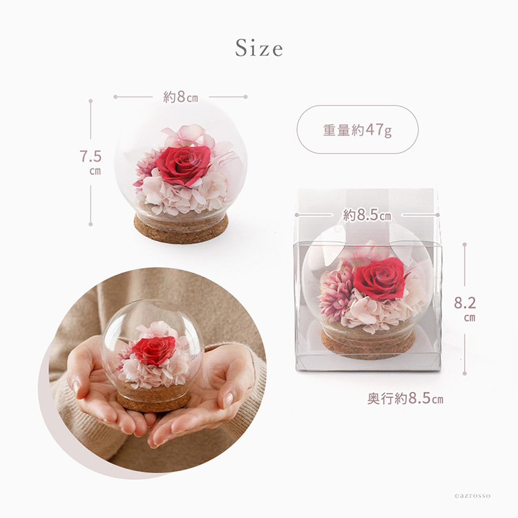 詳細画像12