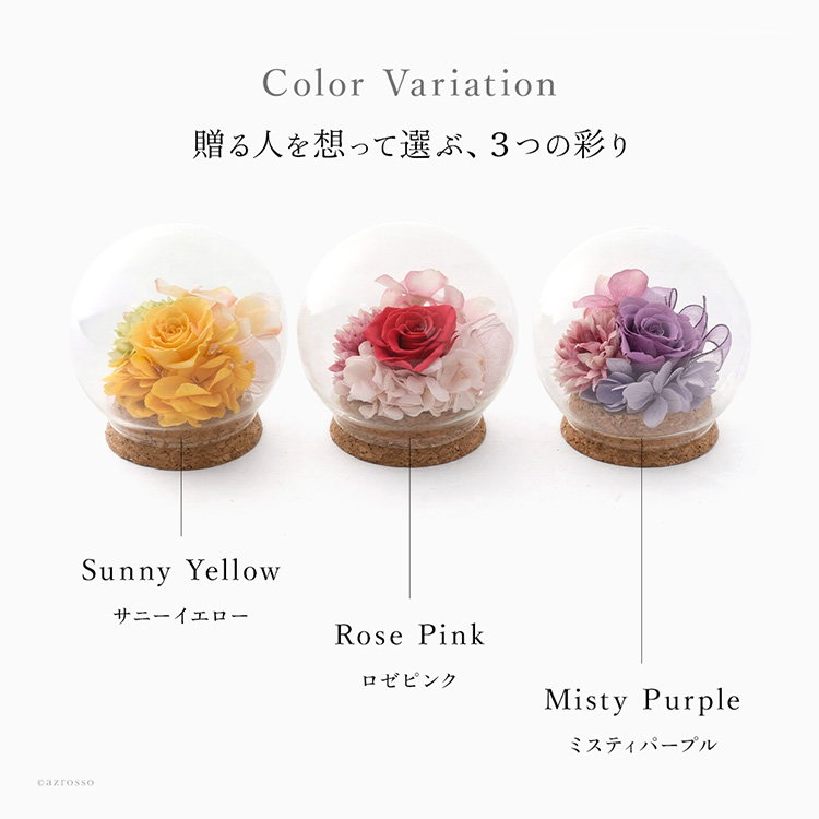 カラーバリエーション