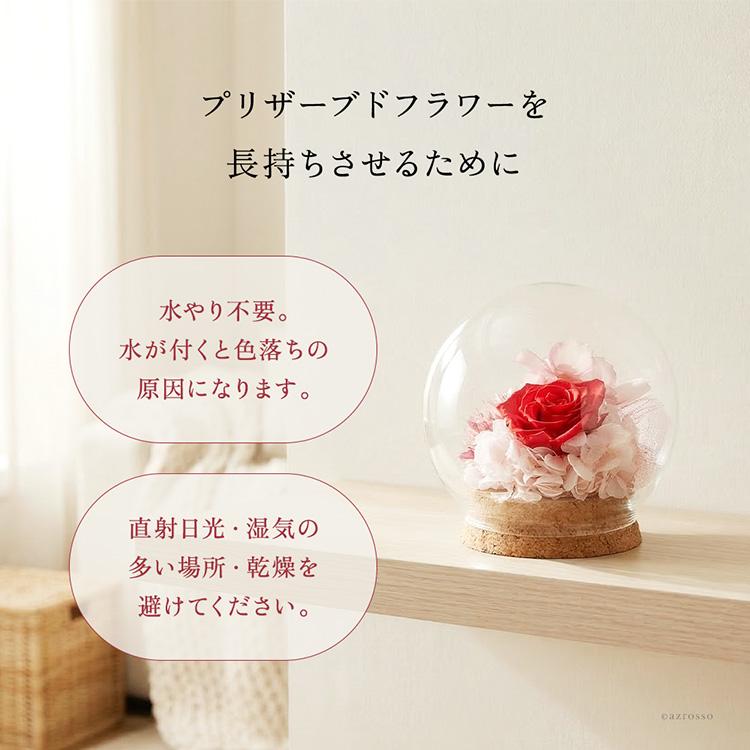 モ詳細画像15