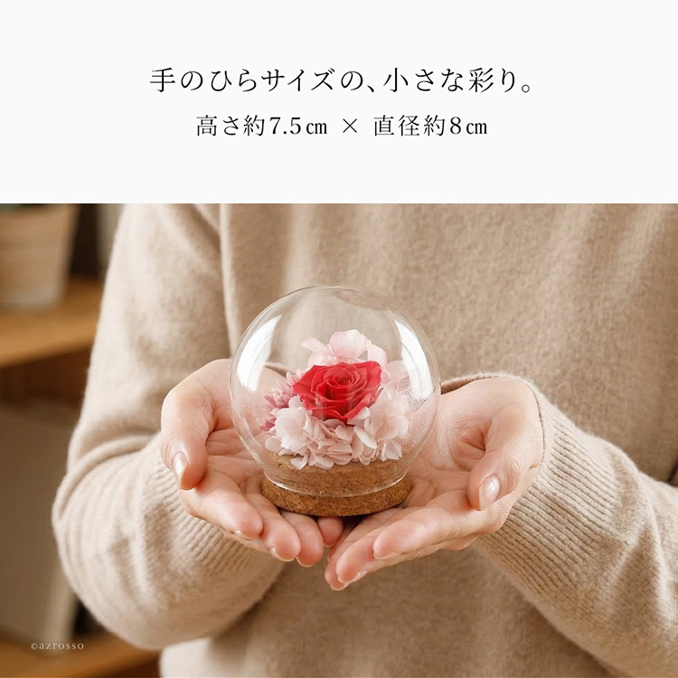 商品画像2
