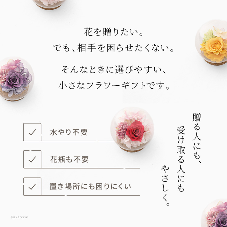 詳細画像9