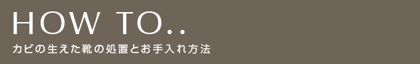 カビの生えた靴の処置とお手入れ方法