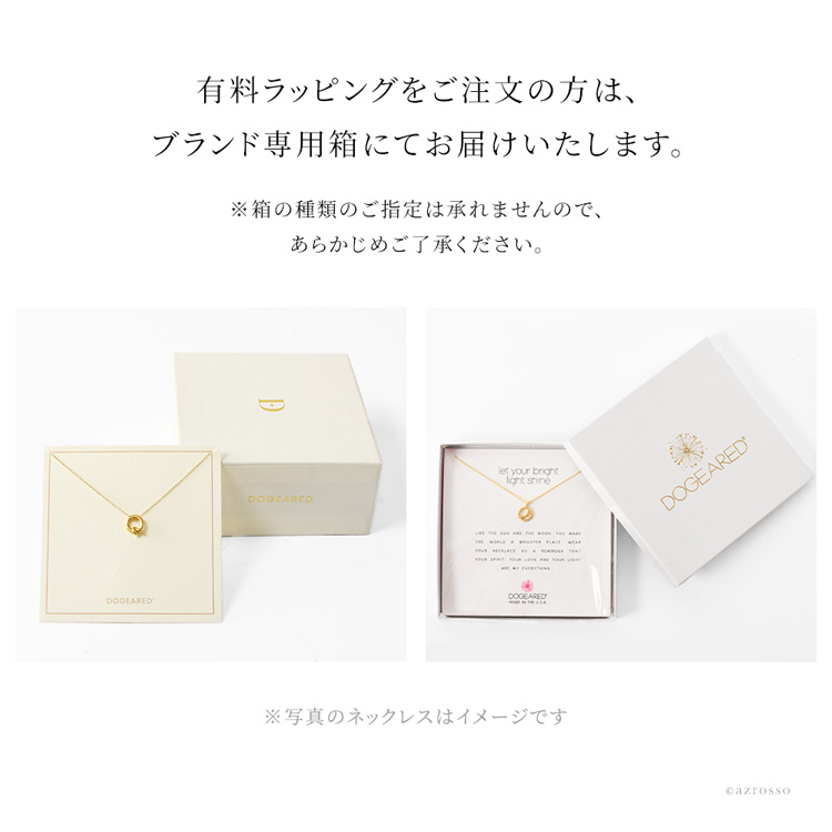 ドギャードラッピング画像