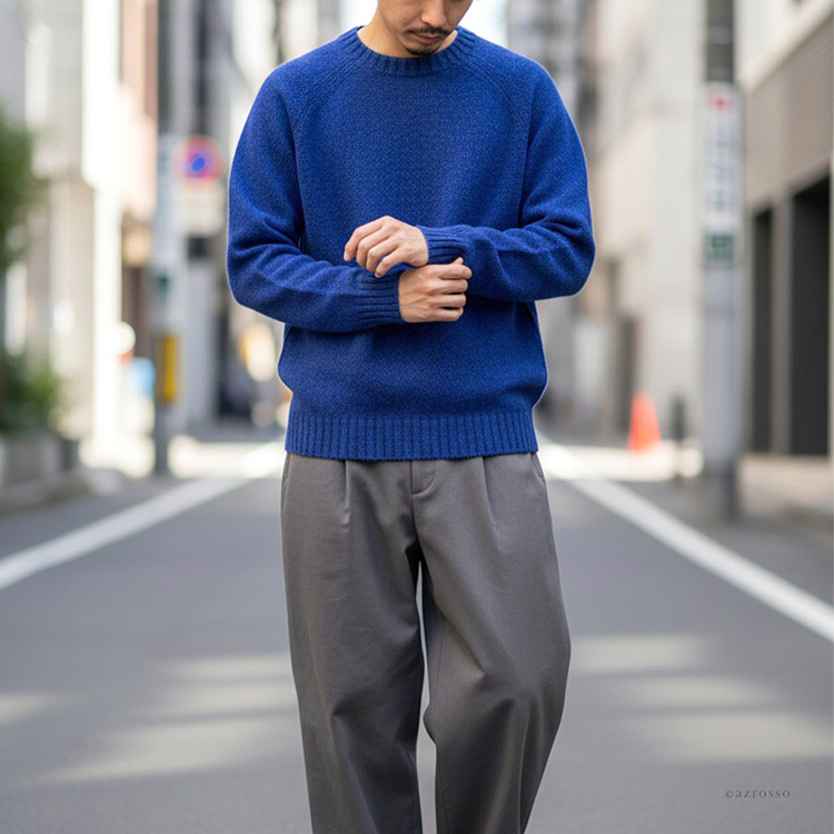 モデル画像 ロイヤルサファイア