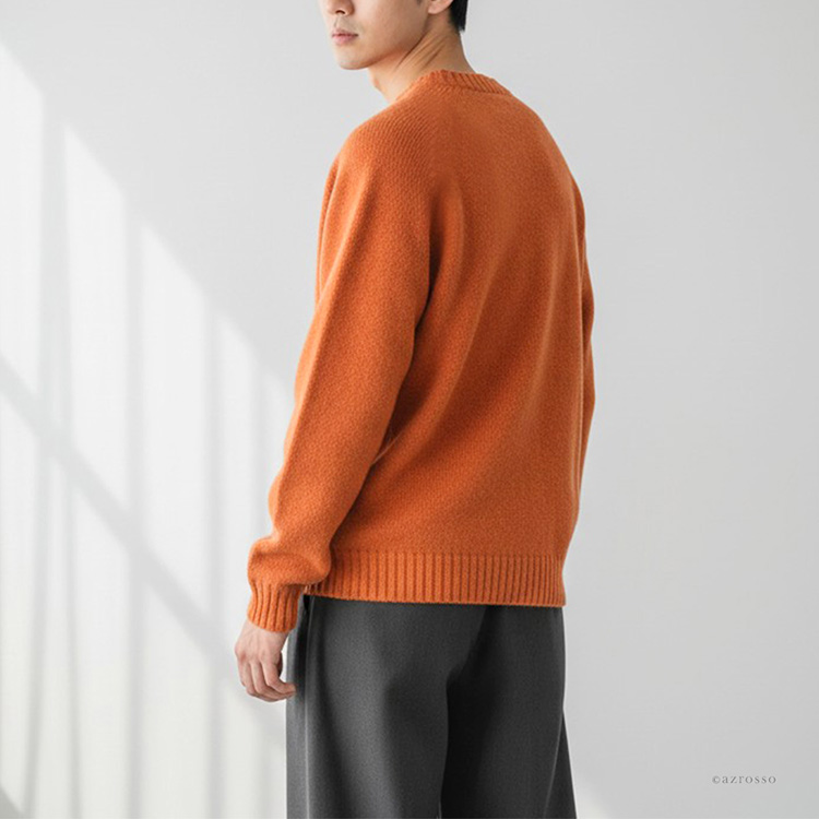 モデル画像 サツマオレンジ