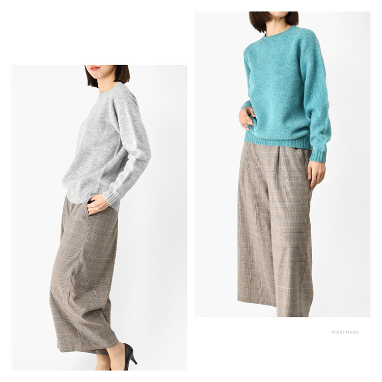 モデル画像 シルバー ハチドリ