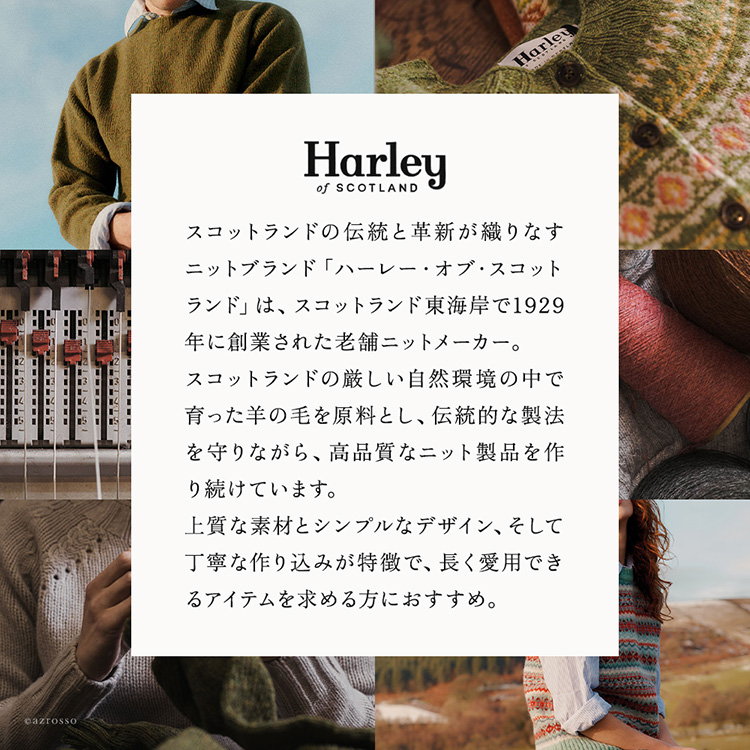 共通ブランド画像