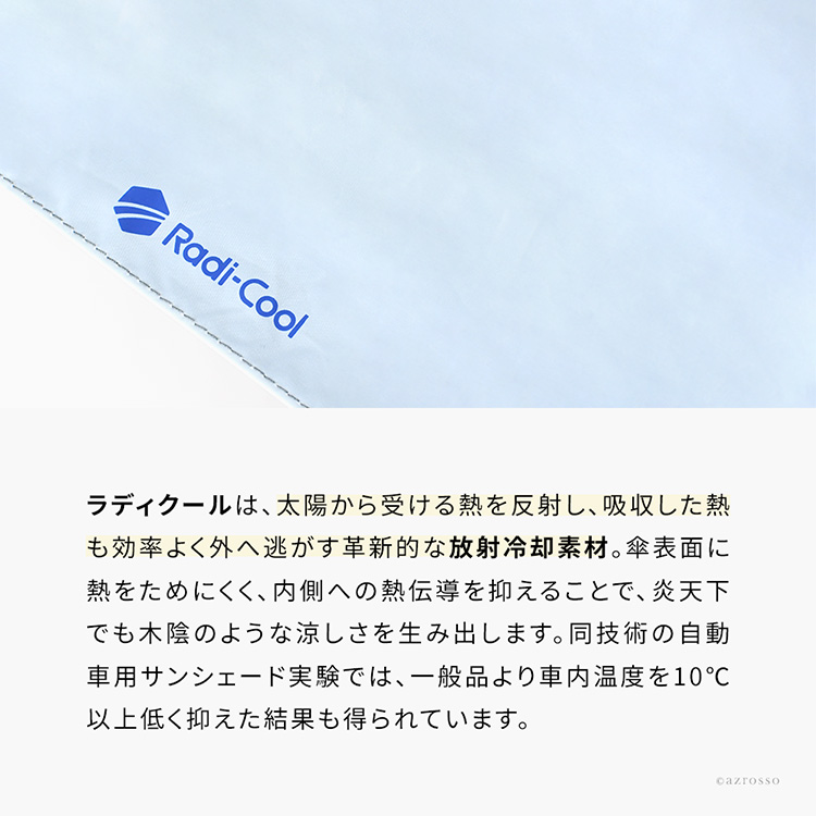 ラディクールの説明画像