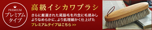 プレミアムタイプのイシカワブラシはこちら