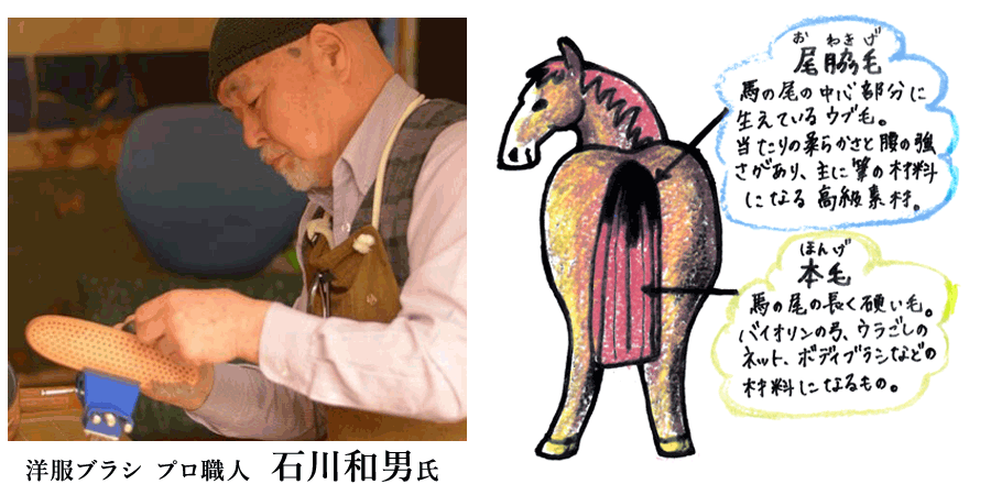 石川和男氏と馬の尾脇毛イラスト