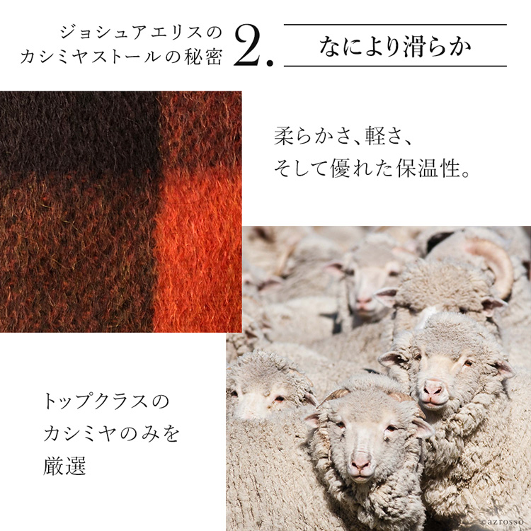 詳細画像4
