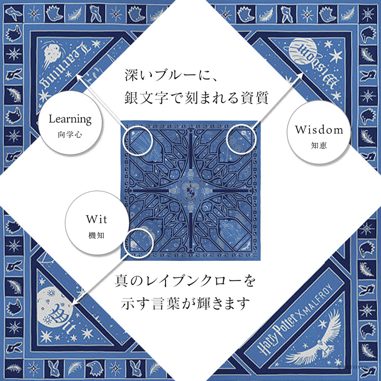 詳細画像6