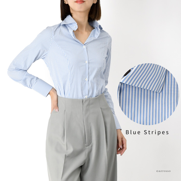 モデル ブルーストライプ