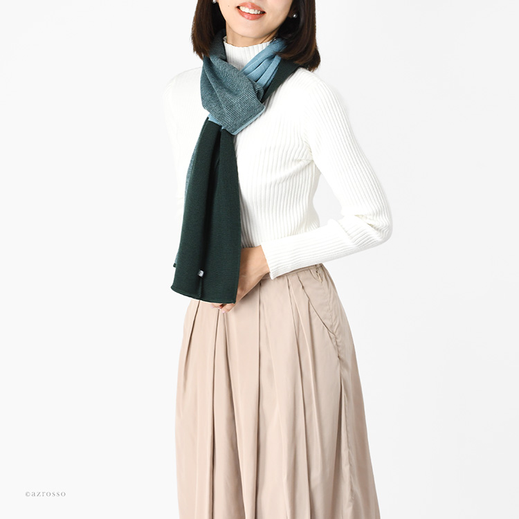 モデル画像 グリーン×アクアブルー