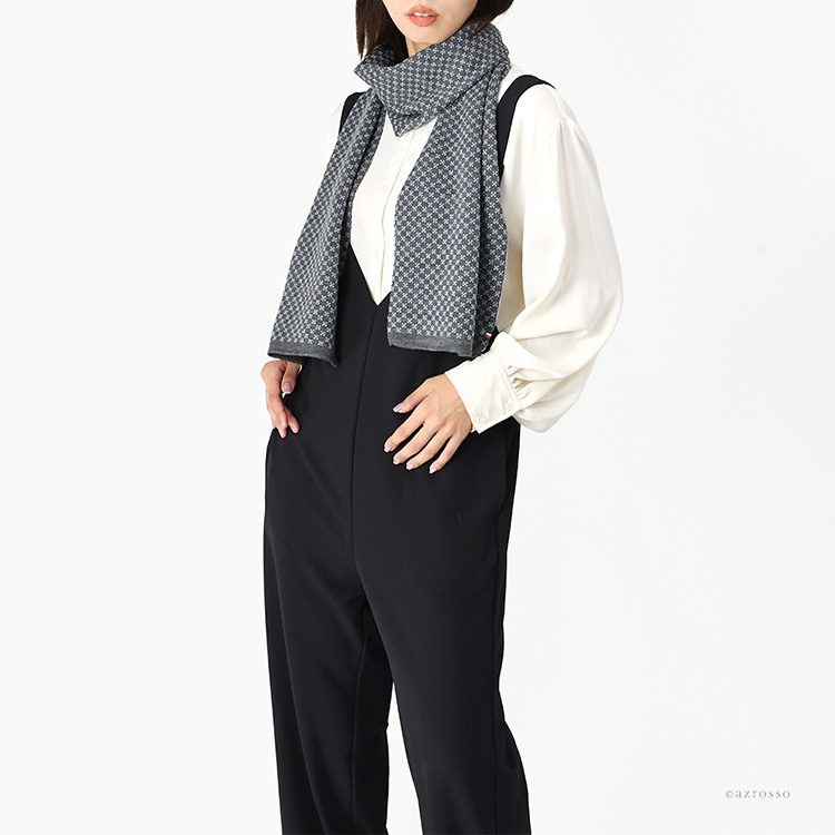 モデル画像 ブルースモーク