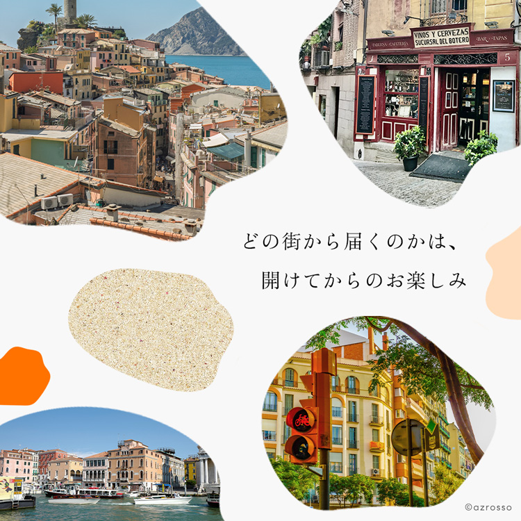 詳細画像2
