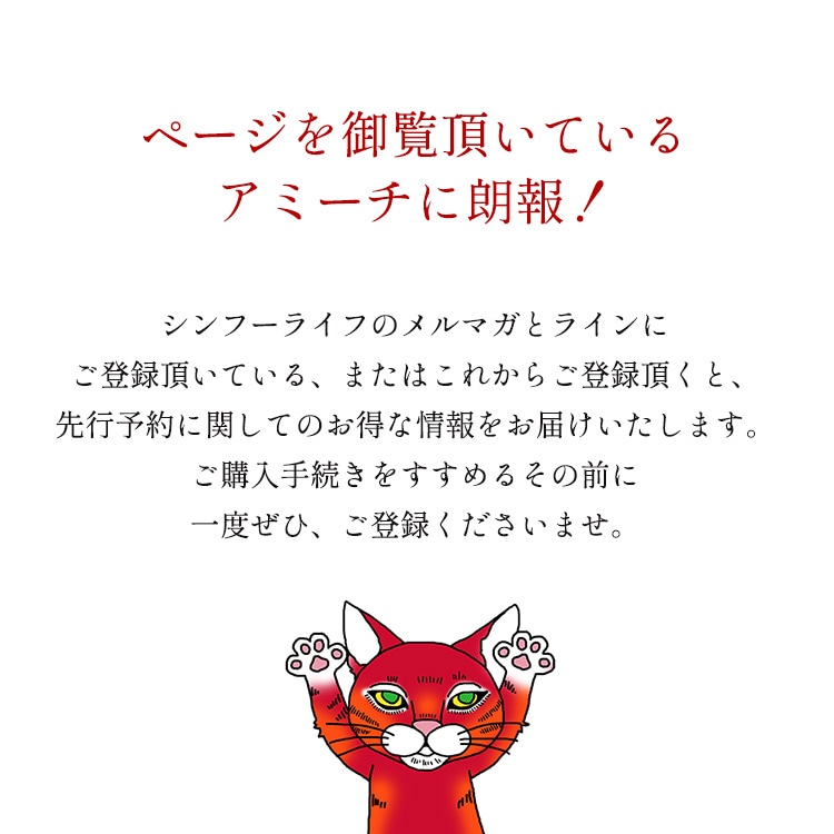 ページを御覧頂いているアミーチに朗報!