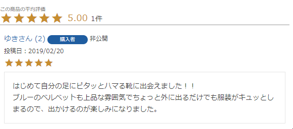 レビュー