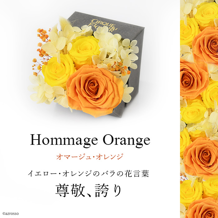お花バリエーション：オレンジ