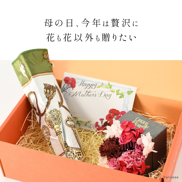 お花 カーネーション ワカオの傘セットbox 21母の日プレゼント ギフト通販 お花 カーネーション ワカオの傘セットbox 21母の日プレゼント ギフト通販