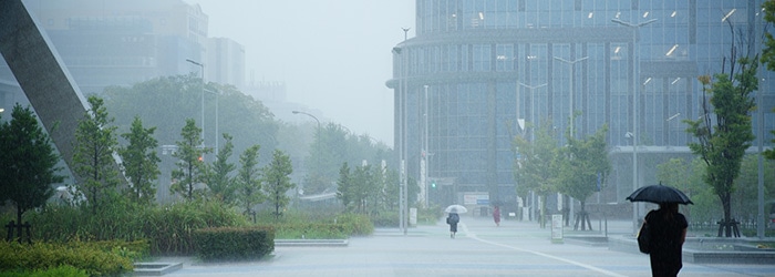 都会の夏の雨